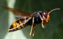 7896150_1e8513f8-bcc2-11e8-9c25-be3aae6acc9c-1_1000x625