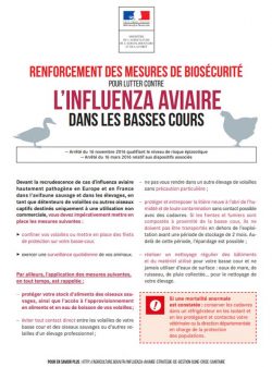 Renfocement des mesures de biosécurité pour lutter contre l'influenza aviaire dans les basses cours