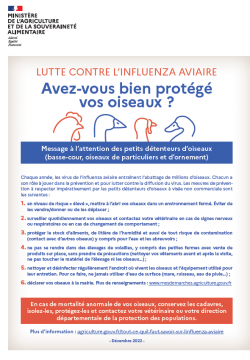 grippe aviaire 1