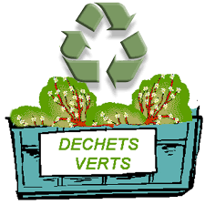 dechets-verts